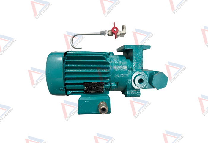 离线过滤器润滑泵 MK906.0633-00